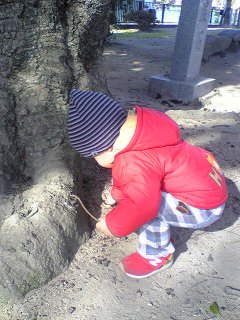神社の境内で遊んでる
