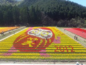 チューリップまつり