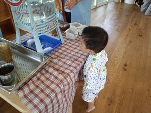 カキ氷まだかな