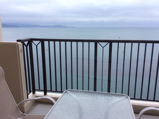 お部屋からの眺め